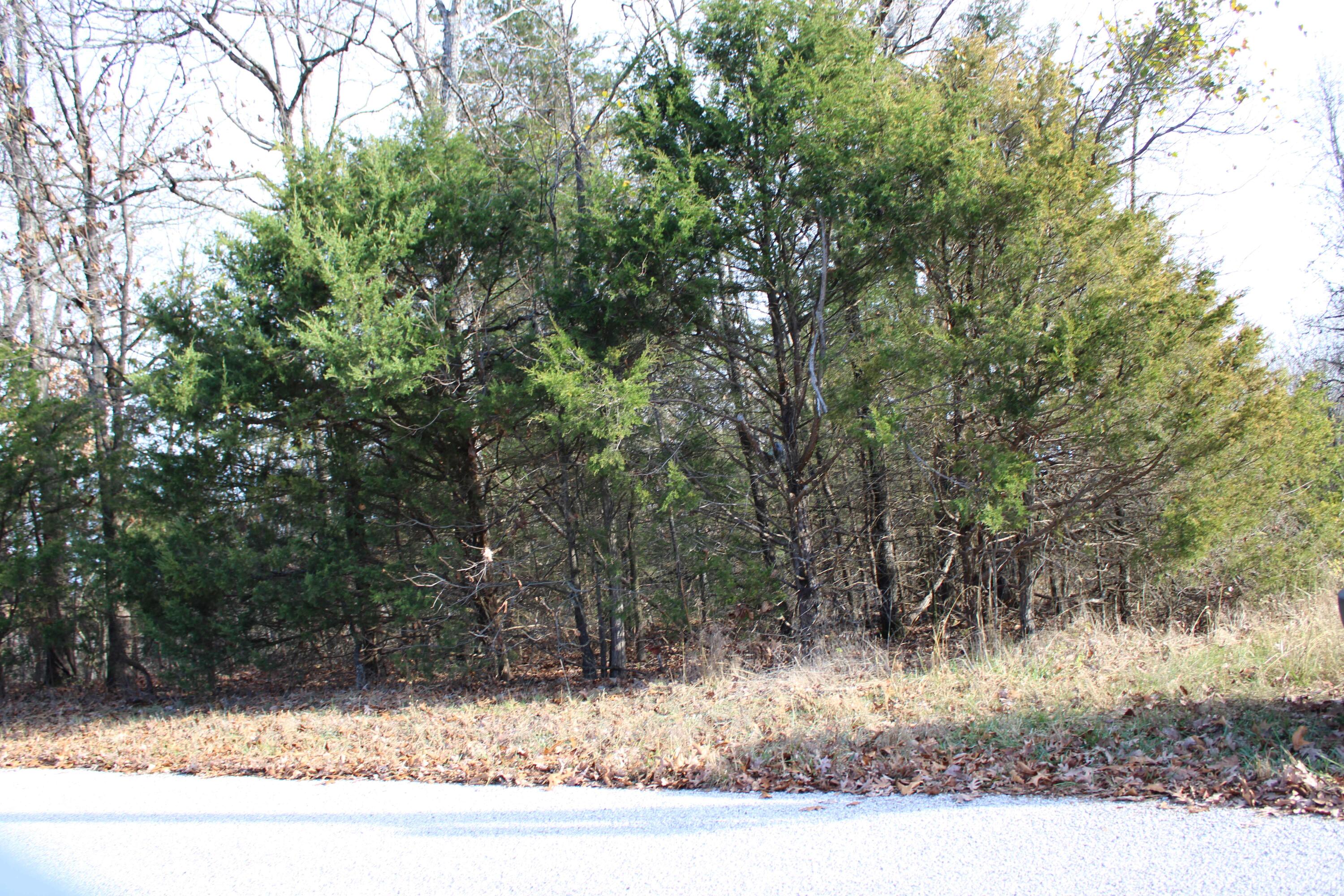 000 Farm Road 1150 Property Photo 25