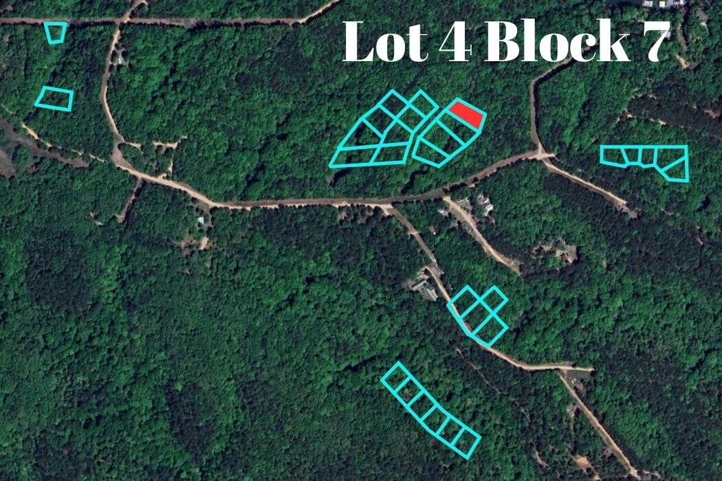 Lot 4 Block 7 (piney Woods) E 330 Rd Property Photo 1