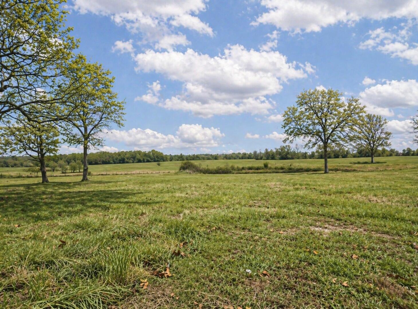 19071 Highway 32 Property Photo 5