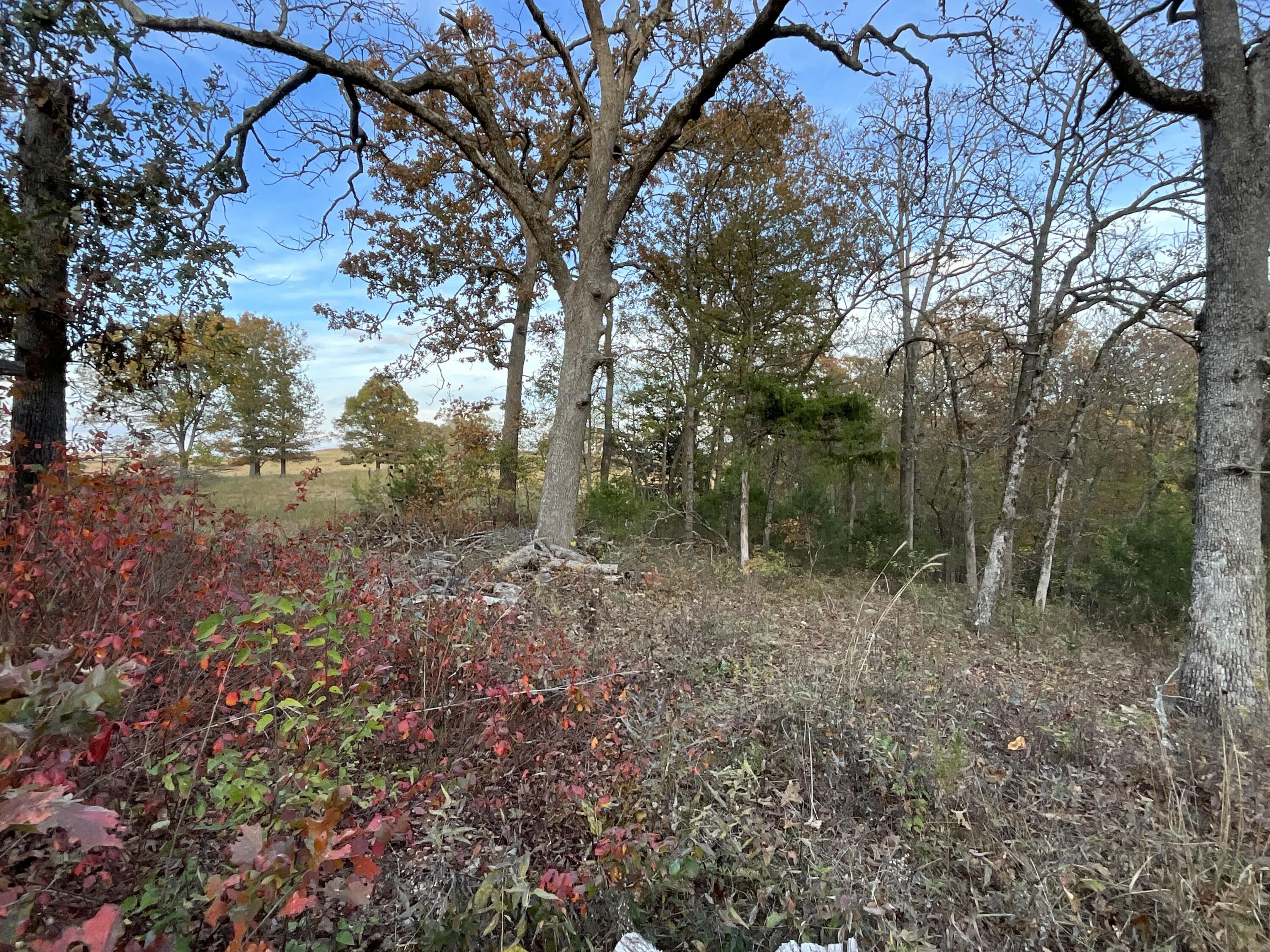000 Tbd Ledbetter Hollow Property Photo 22