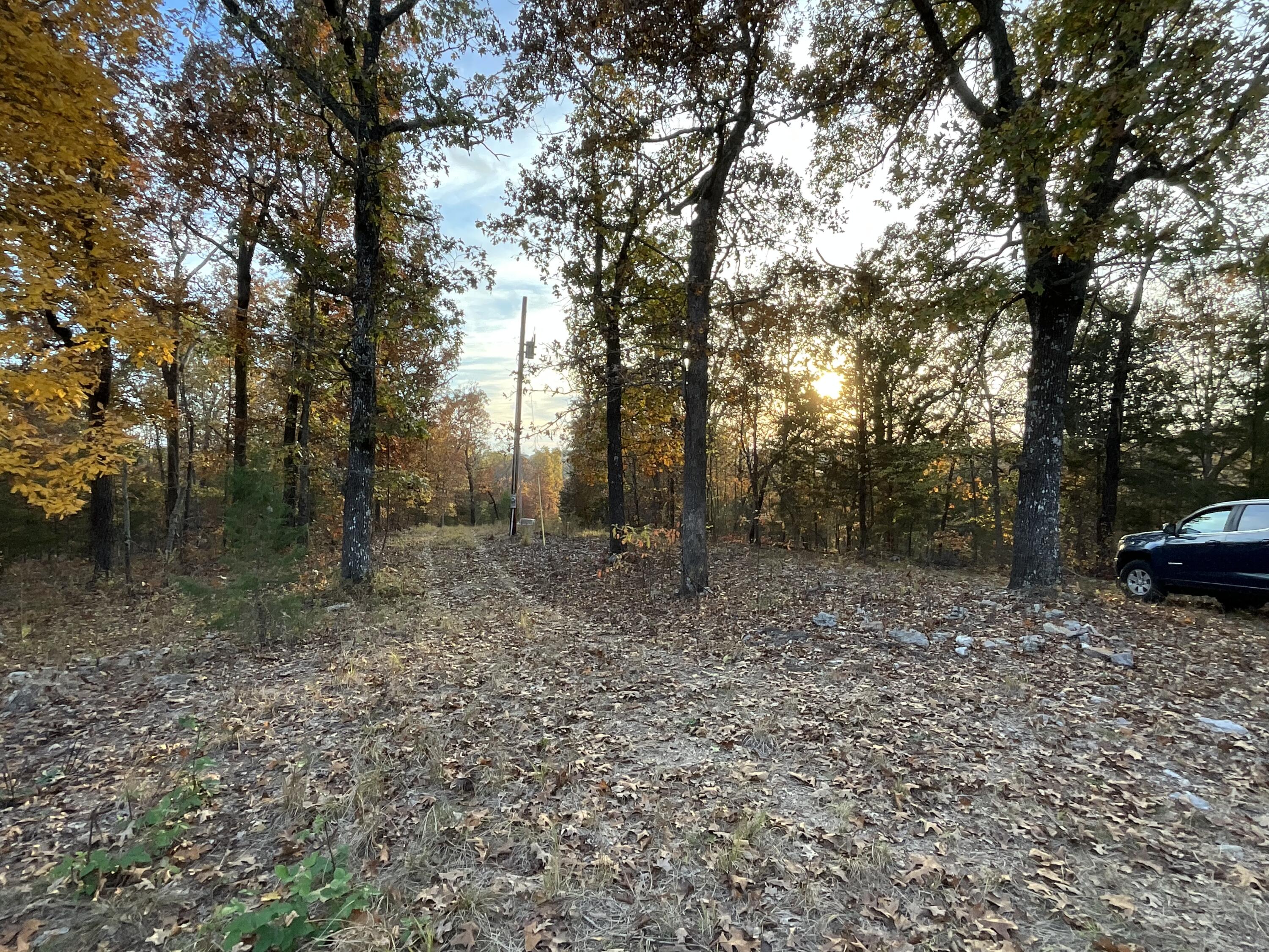 000 Tbd Ledbetter Hollow Property Photo 23