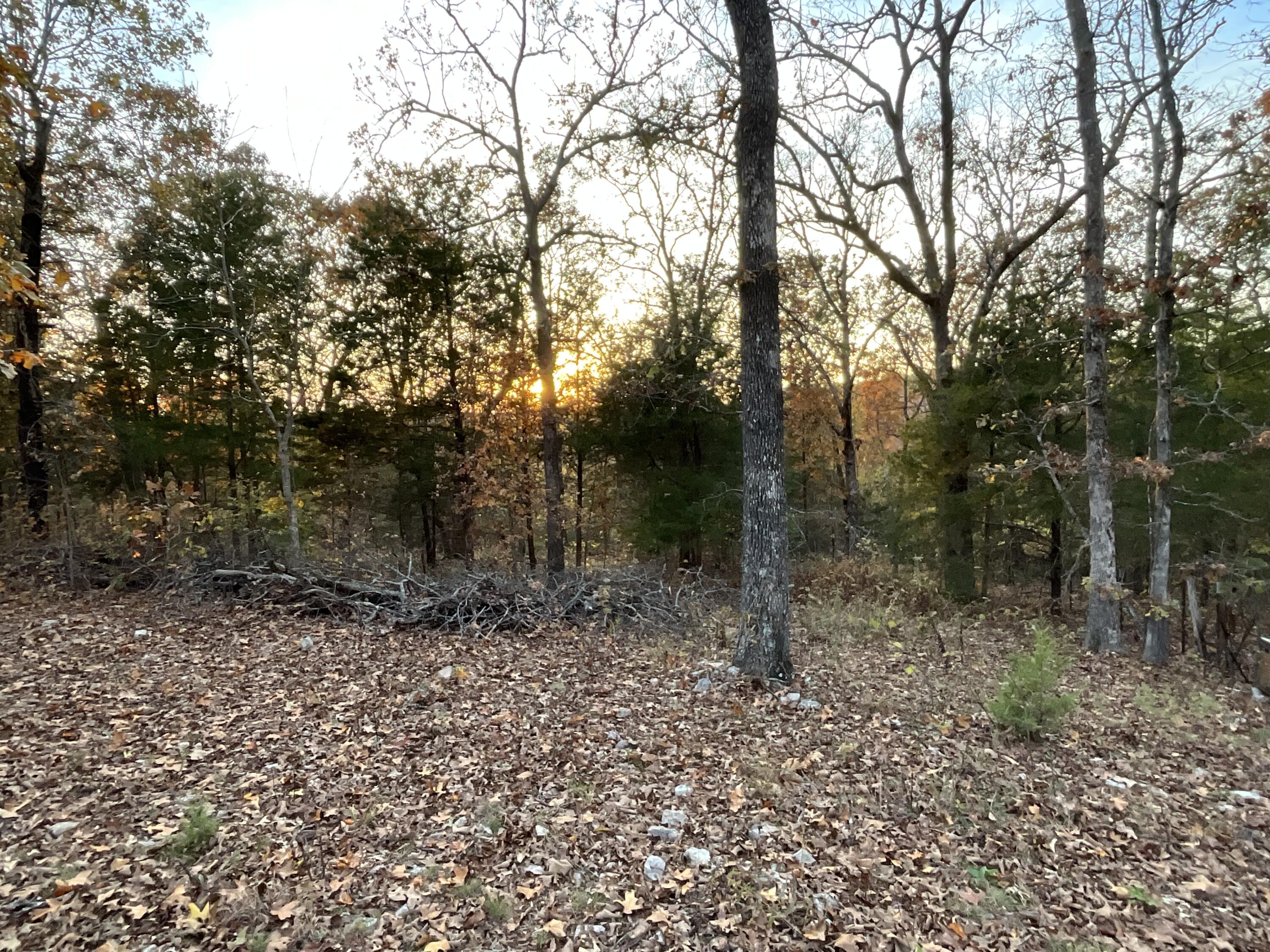 000 Tbd Ledbetter Hollow Property Photo 25