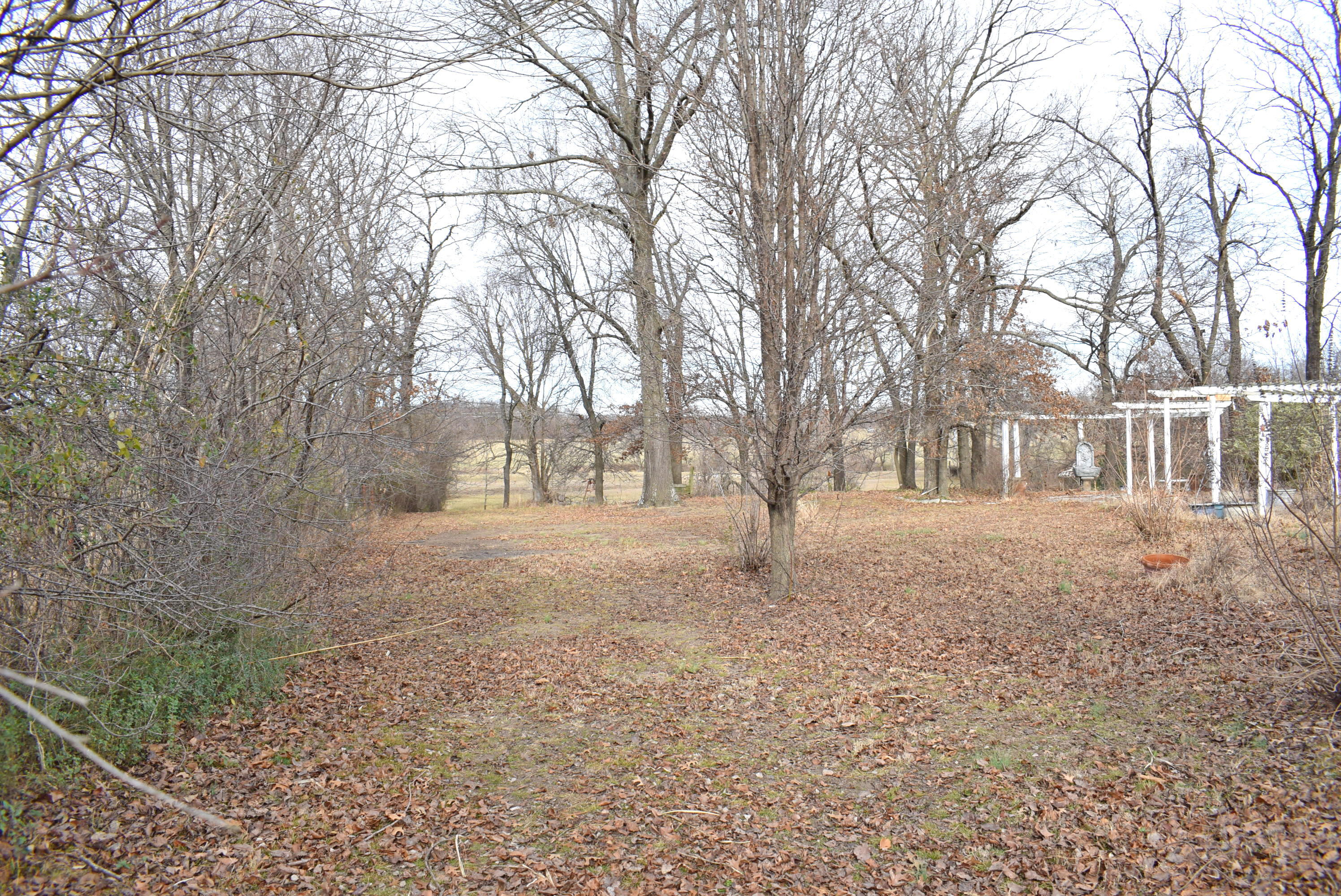 6271 Cedar Meadows Lane Property Photo 70