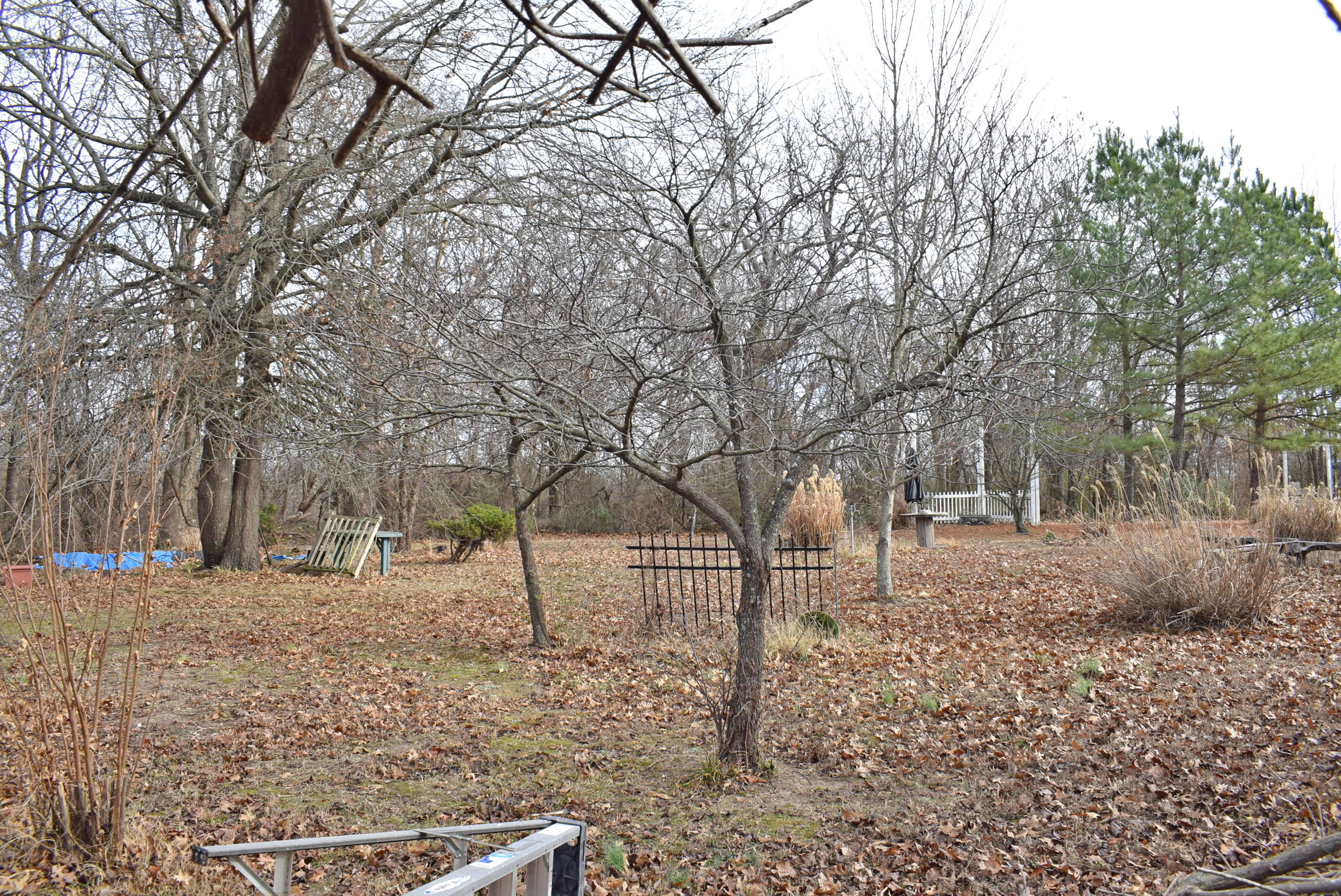 6271 Cedar Meadows Lane Property Photo 71