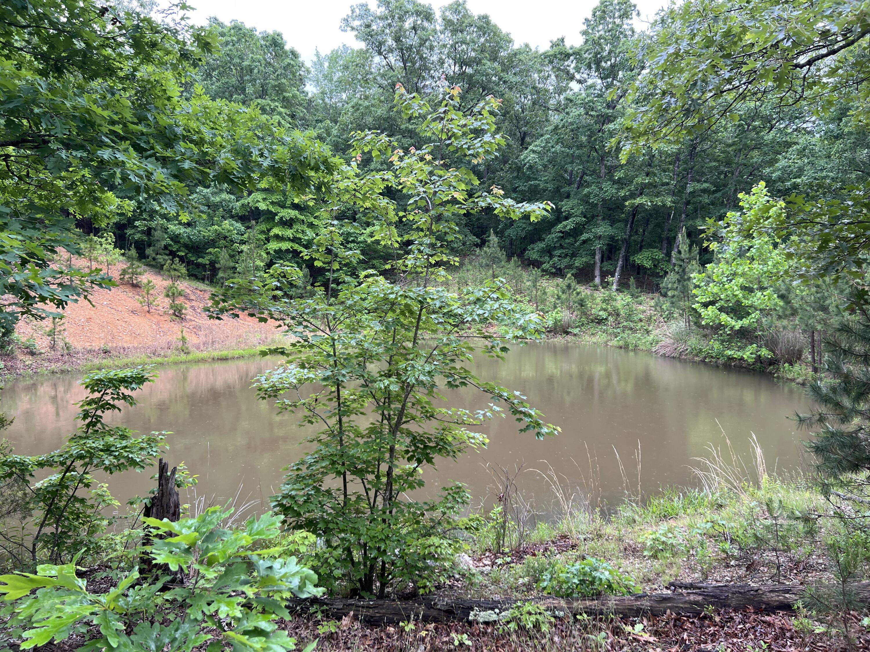 15768 Sargent Road Property Photo 8