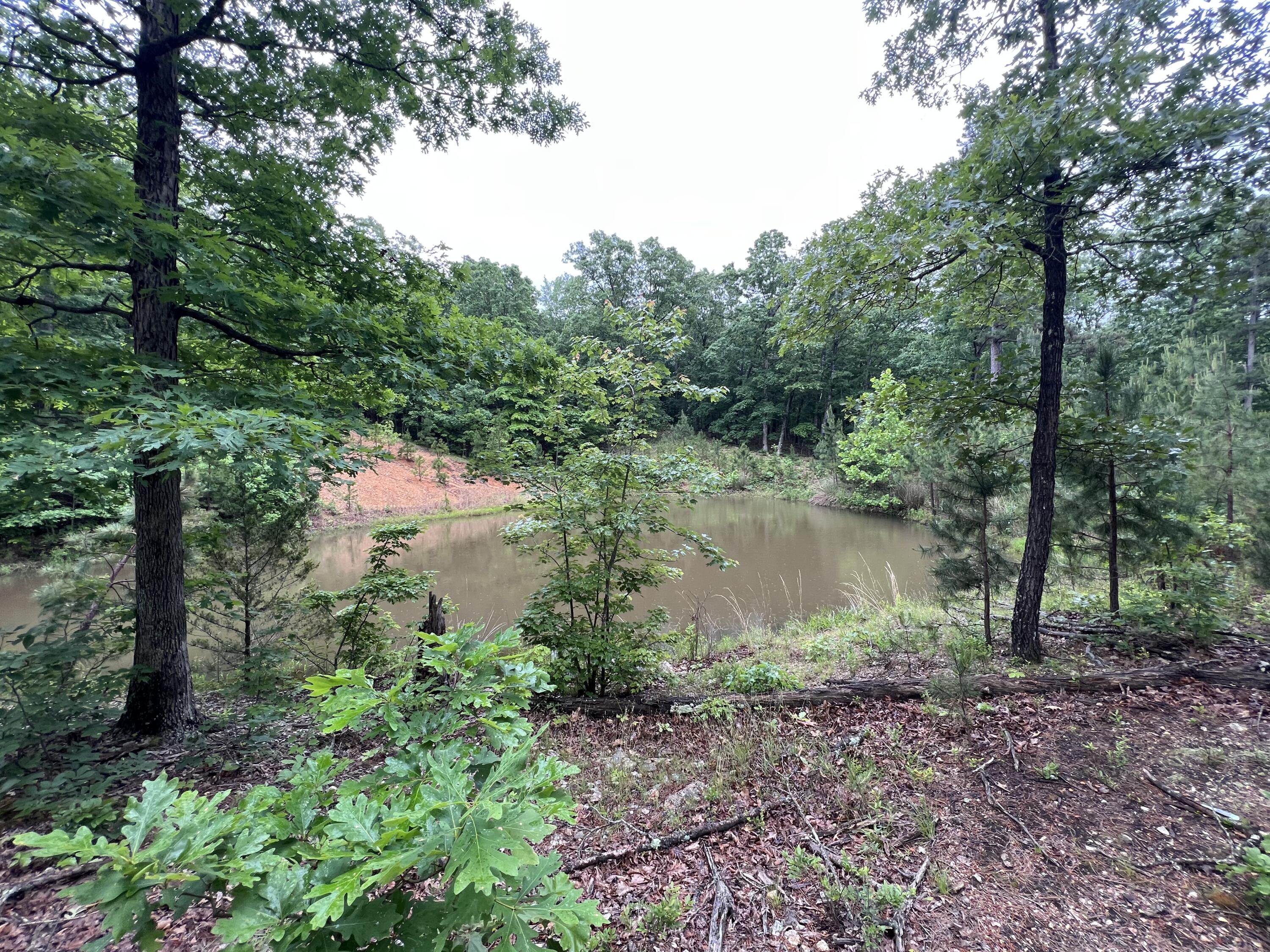 15768 Sargent Road Property Photo 9