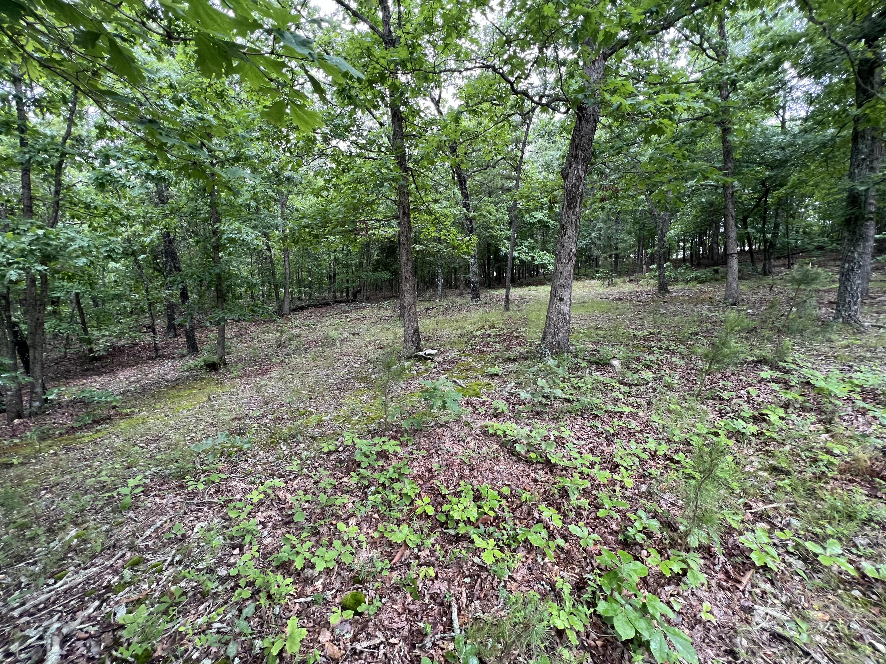 15768 Sargent Road Property Photo 11