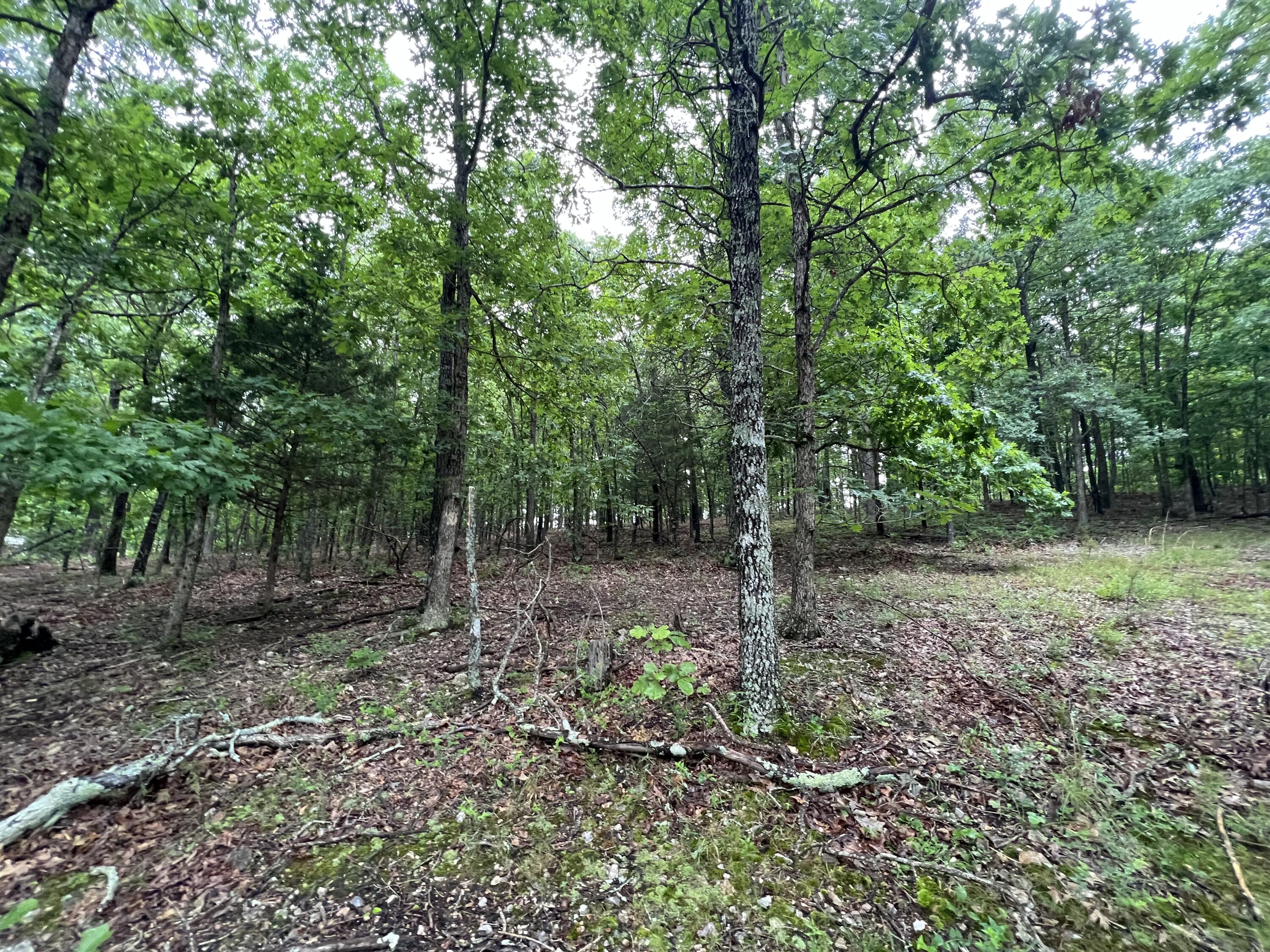 15768 Sargent Road Property Photo 12