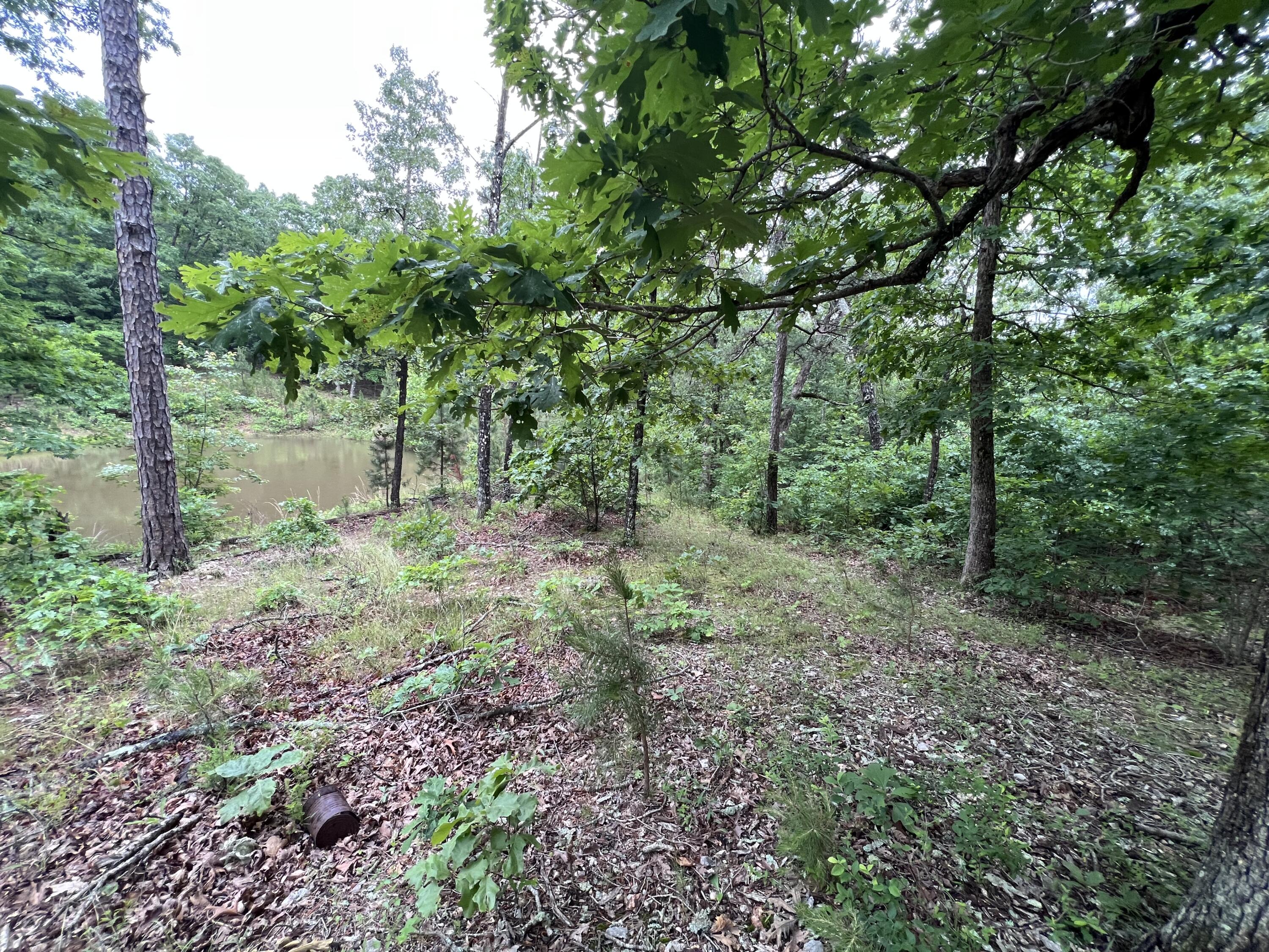 15768 Sargent Road Property Photo 13