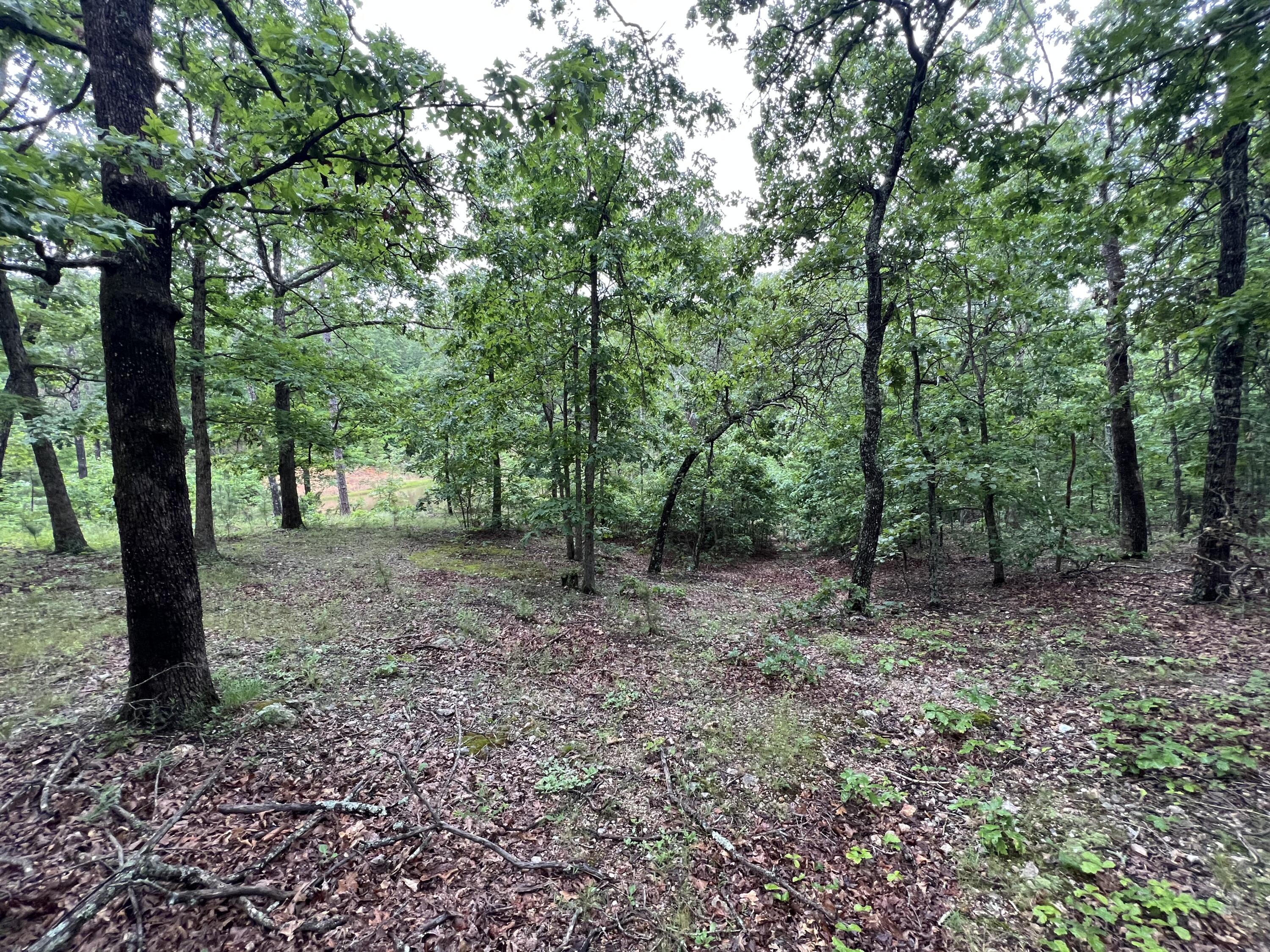 15768 Sargent Road Property Photo 15