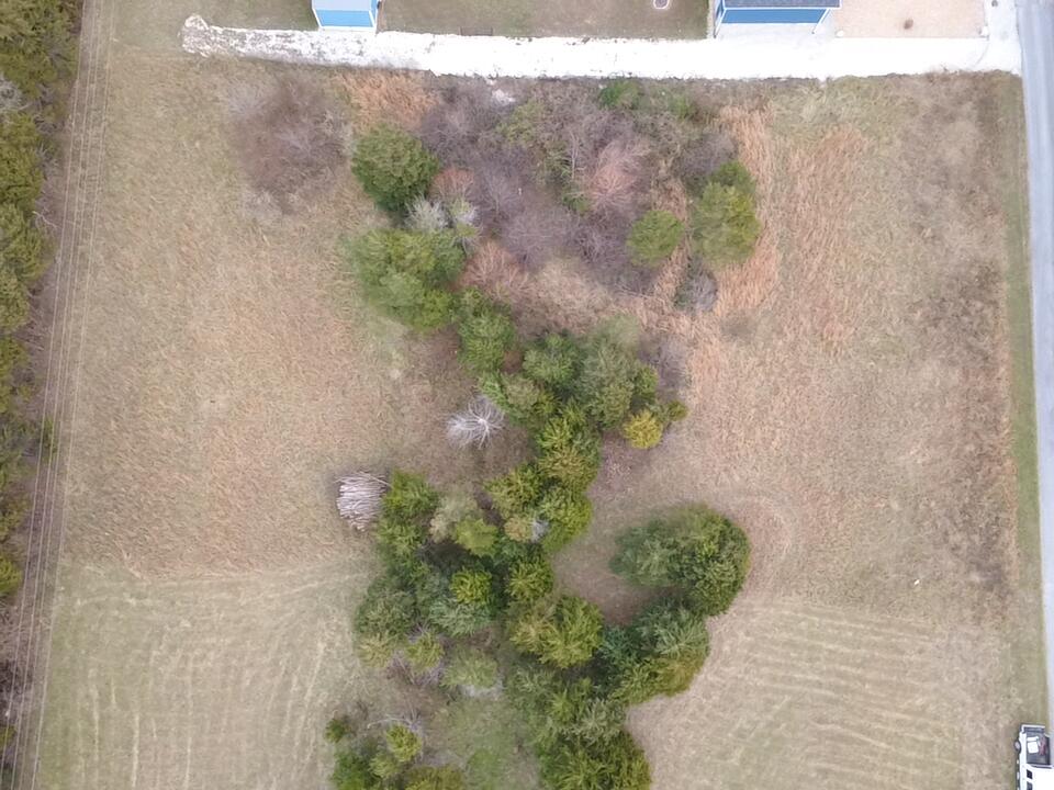 Lot 3 Doc Meyer Road Property Photo 6