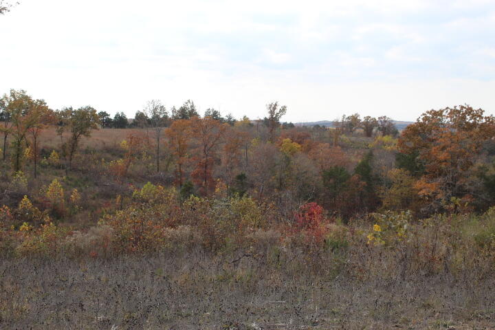 60311487 Property Photo 4