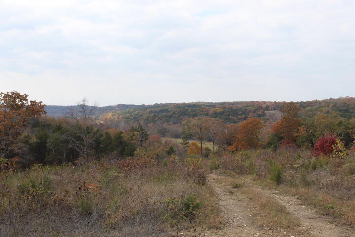 60311487 Property Photo 5