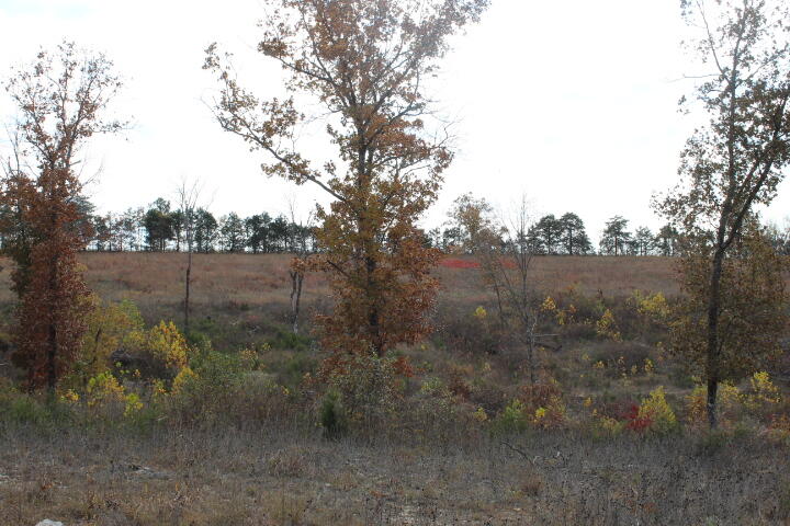 60311487 Property Photo 7