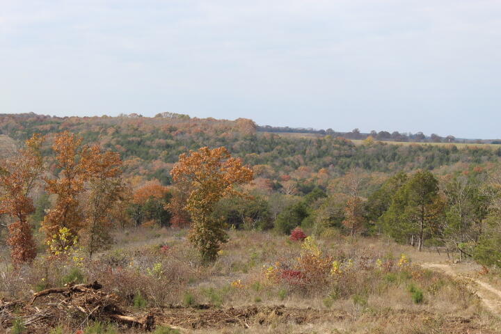 60311487 Property Photo 8