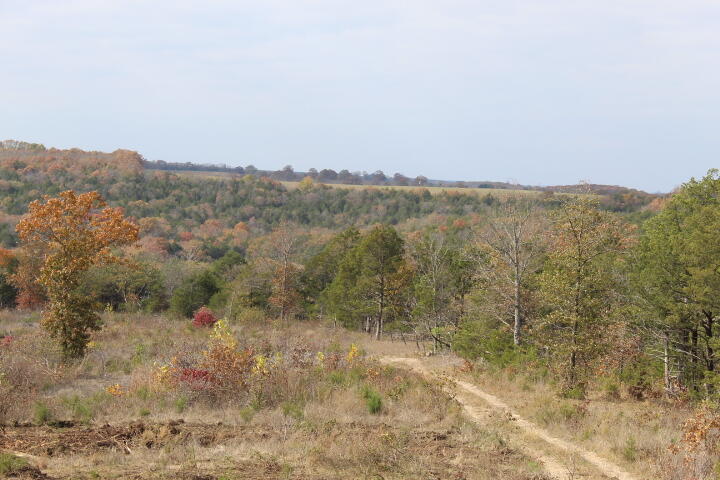 60311487 Property Photo 9
