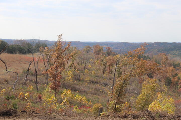 60311487 Property Photo 10