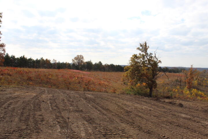 60311487 Property Photo 11
