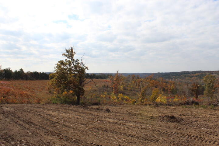 60311487 Property Photo 12