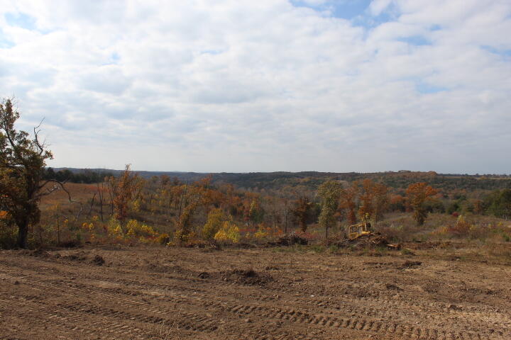 60311487 Property Photo 13