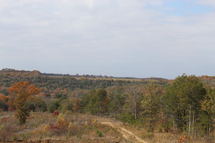 60311487 Property Photo 14