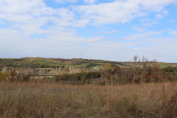 60311487 Property Photo 15
