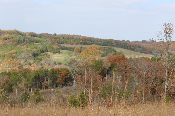 60311487 Property Photo 16