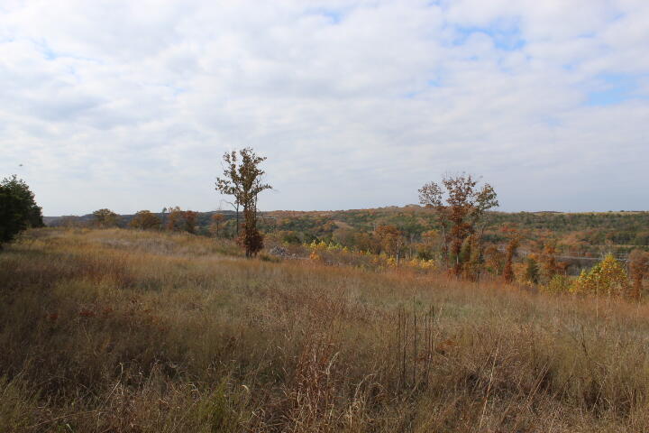 60311487 Property Photo 17