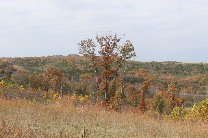 60311487 Property Photo 18
