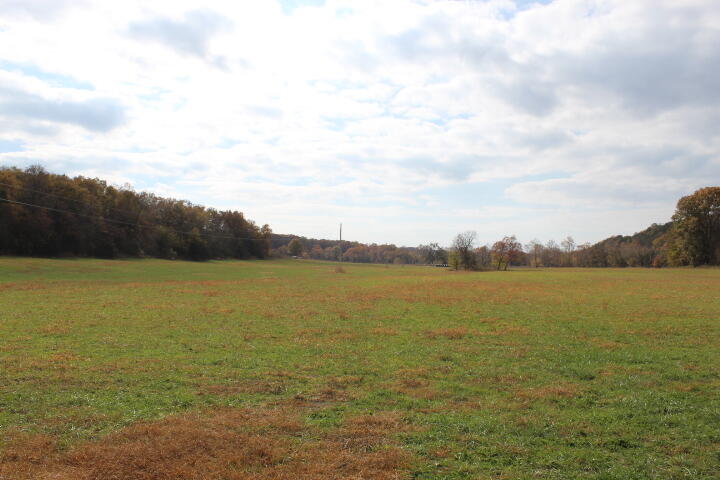 60311487 Property Photo 19