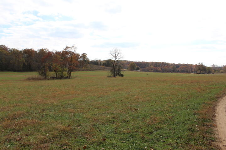 60311487 Property Photo 27