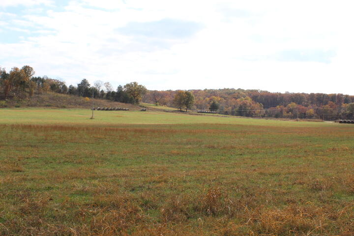 60311487 Property Photo 28