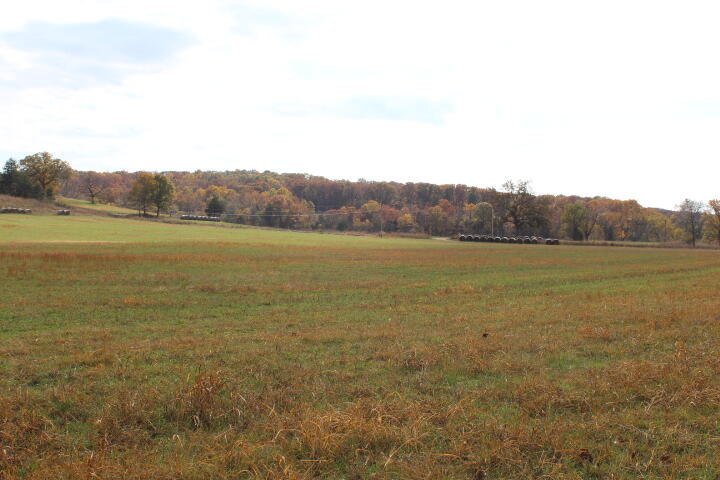 60311487 Property Photo 29