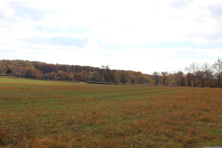 60311487 Property Photo 30