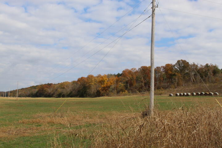60311487 Property Photo 34