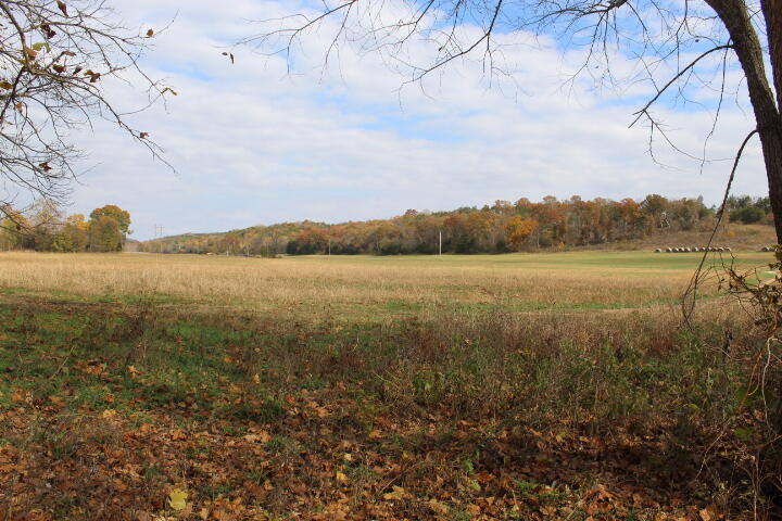 60311487 Property Photo 36