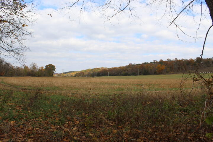 60311487 Property Photo 37