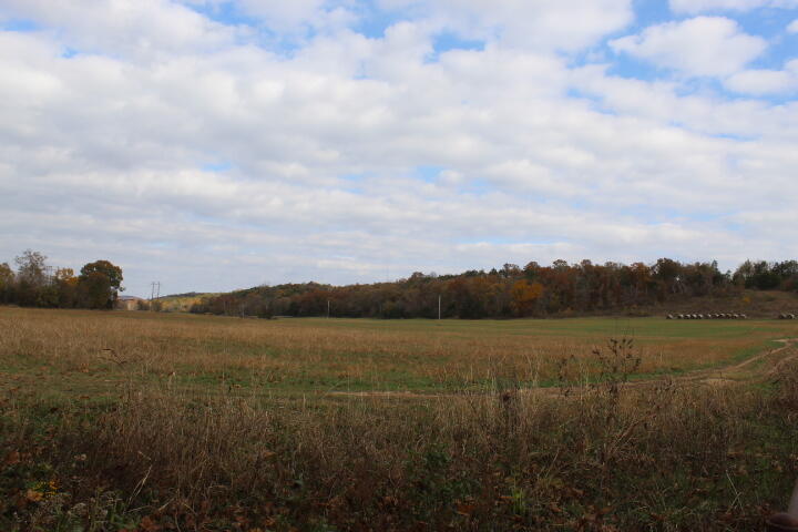 60311487 Property Photo 38