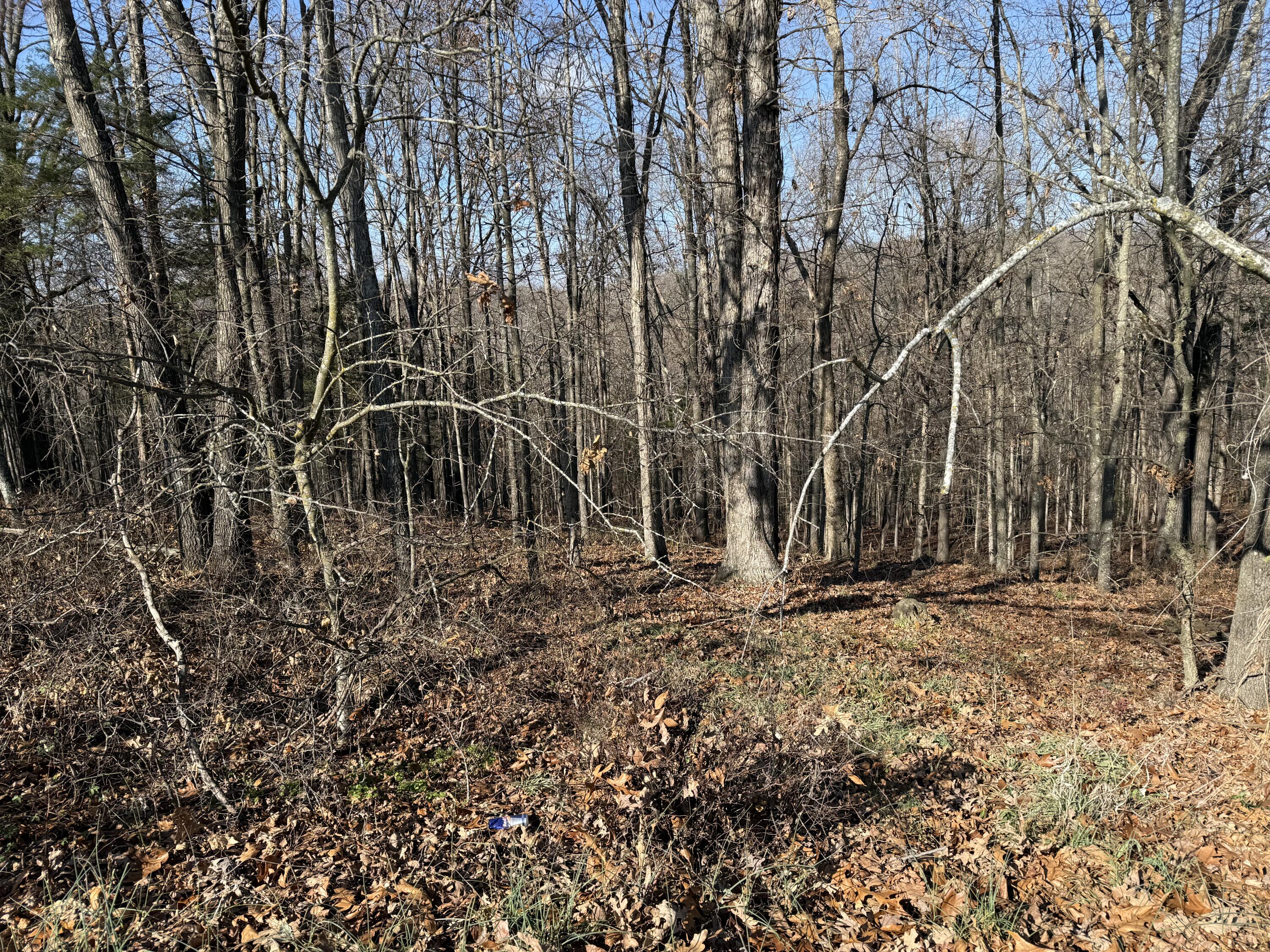 Lot 11 Hillcrest Drive Property Photo 5