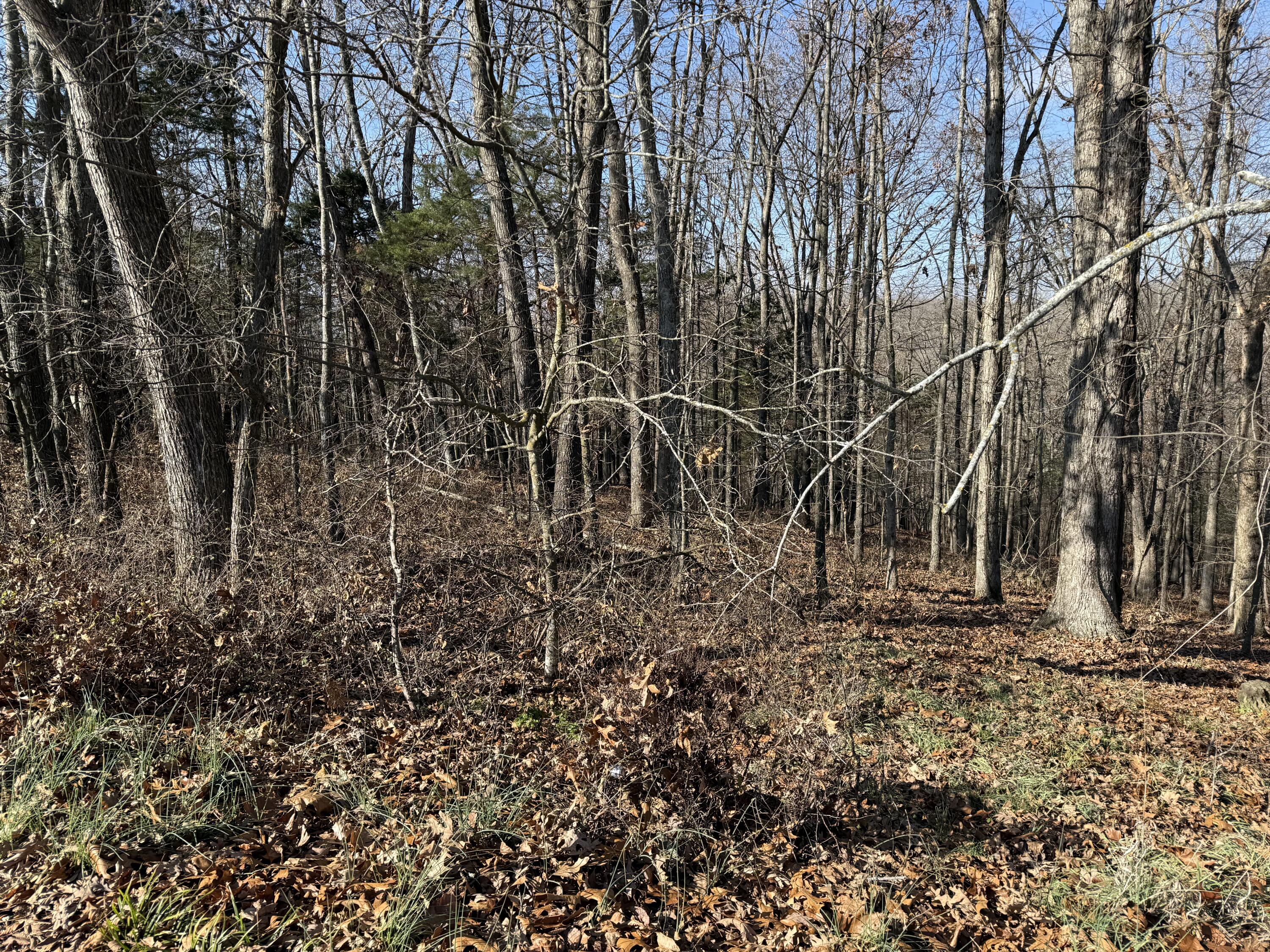 Lot 11 Hillcrest Drive Property Photo 6