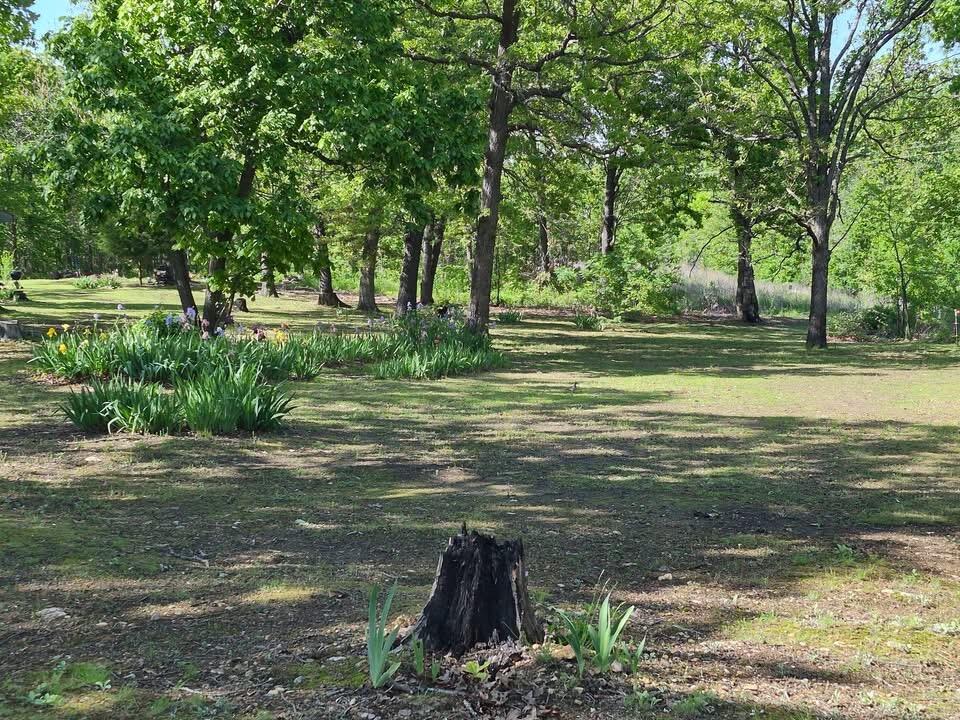 22805 Hwy Cc Property Photo 2
