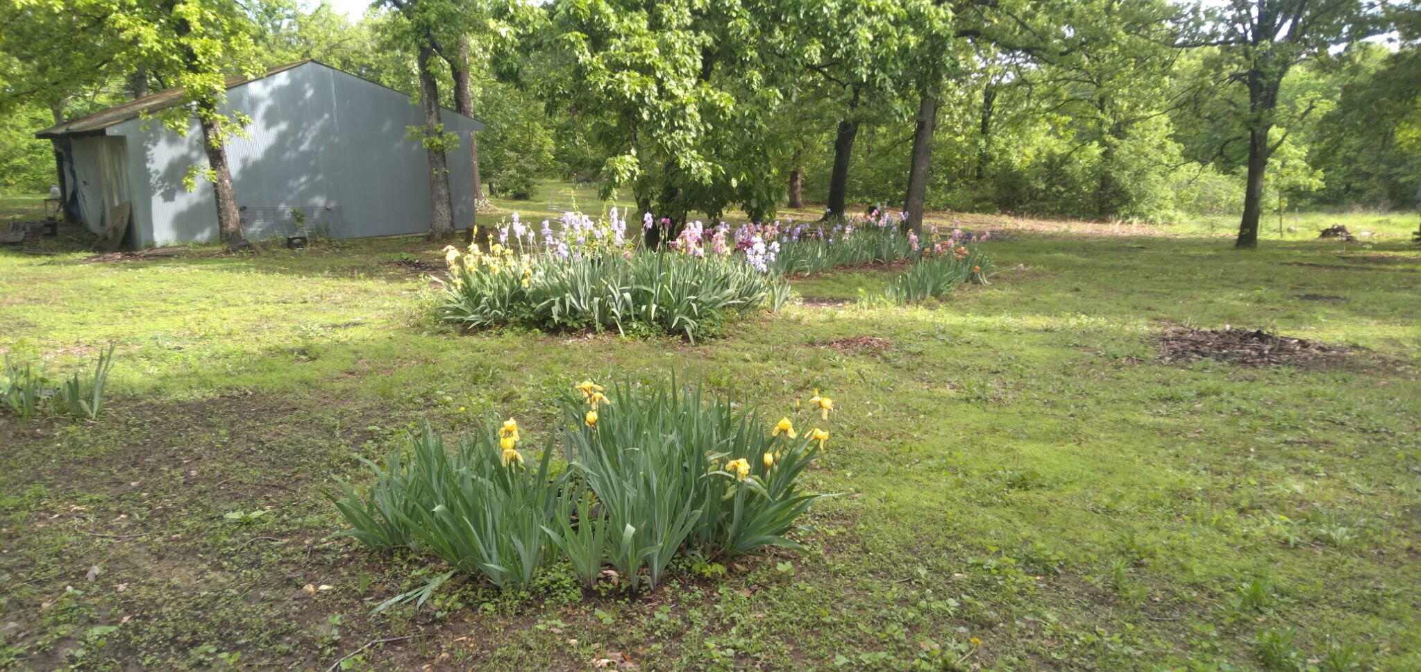 22805 Hwy Cc Property Photo 25