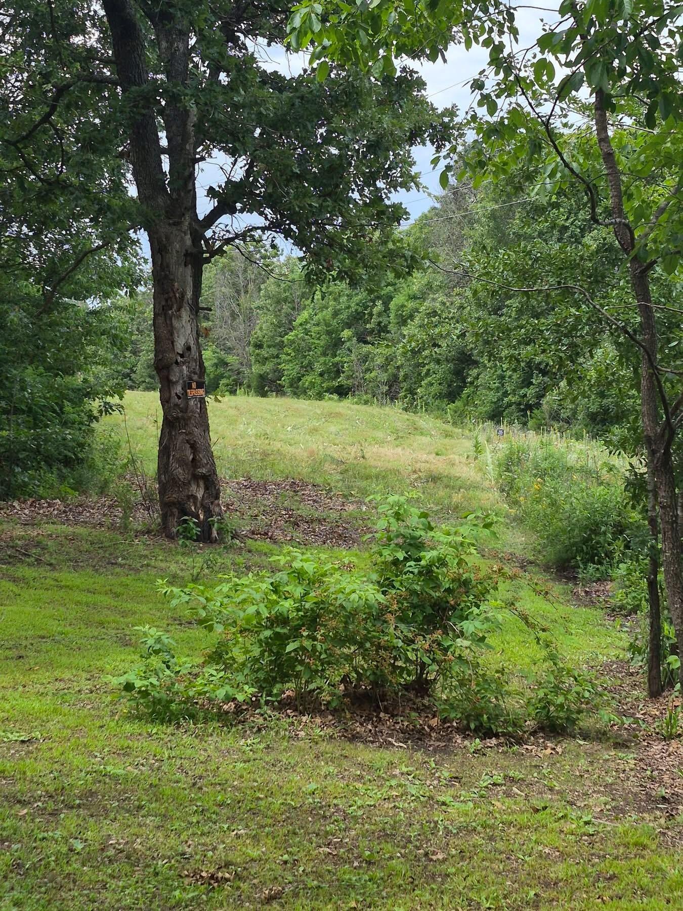 22805 Hwy Cc Property Photo 31