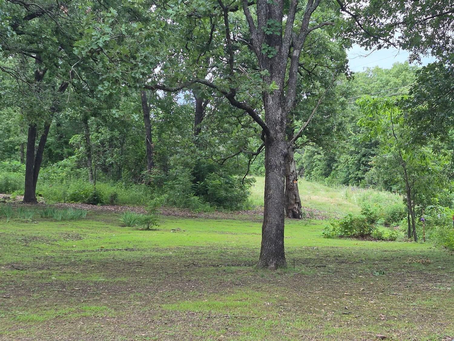 22805 Hwy Cc Property Photo 32