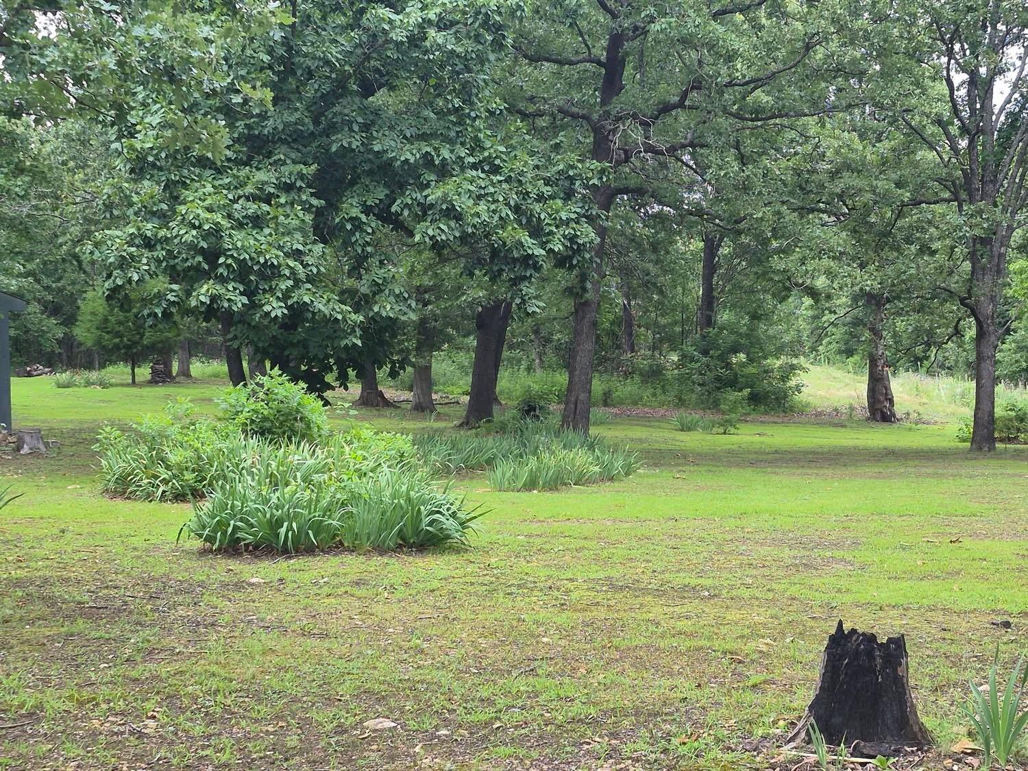 22805 Hwy Cc Property Photo 33
