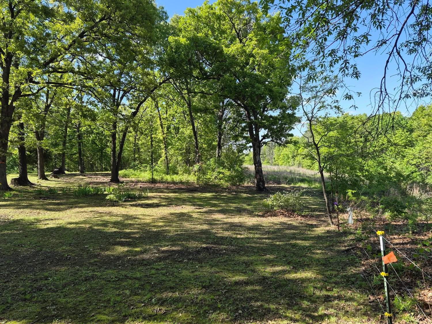 22805 Hwy Cc Property Photo 37
