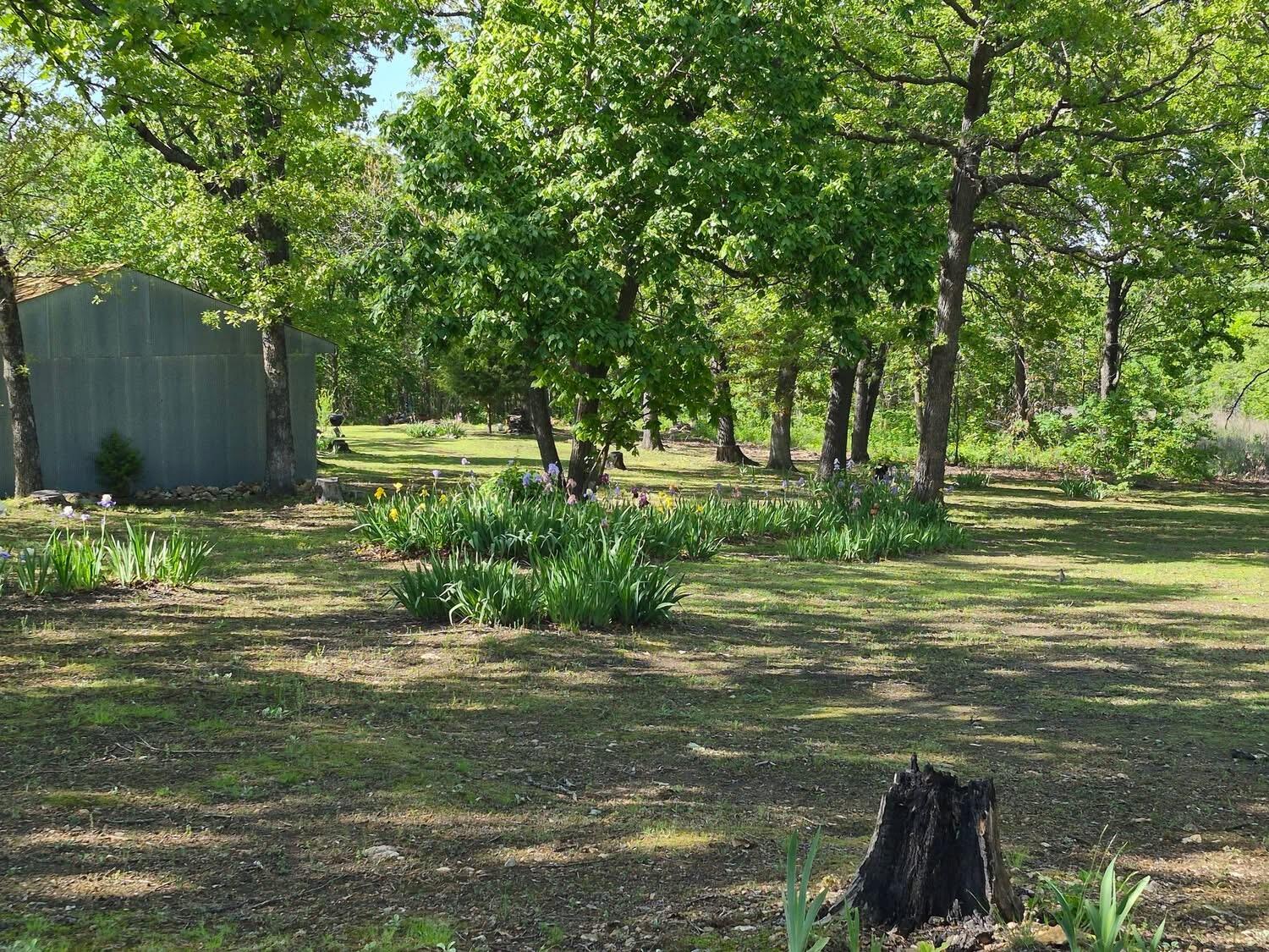 22805 Hwy Cc Property Photo 38