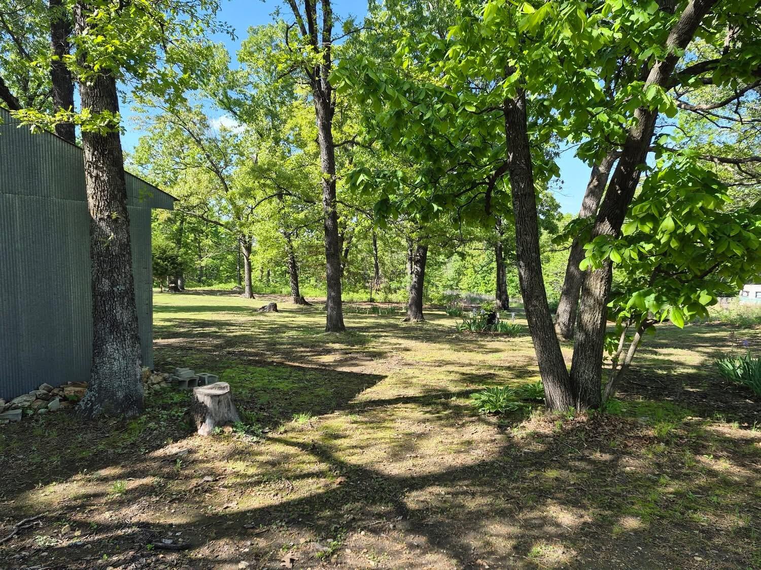 22805 Hwy Cc Property Photo 39