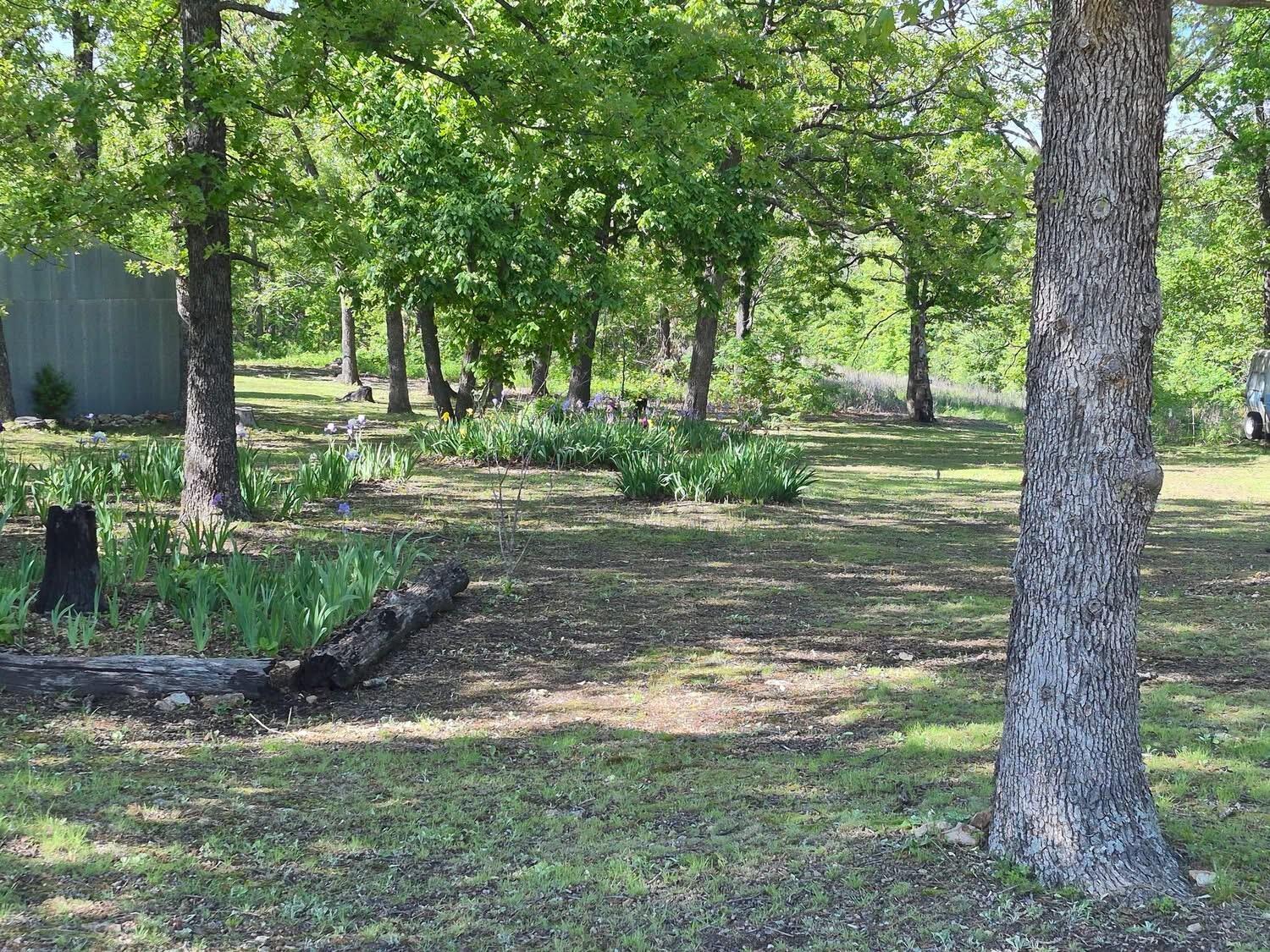 22805 Hwy Cc Property Photo 40