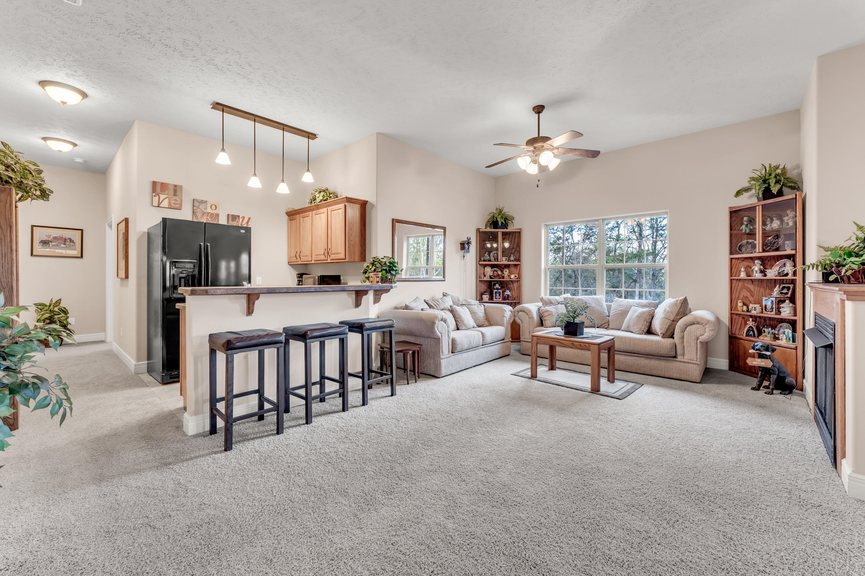 860 Silvercliff Way Property Photo 46